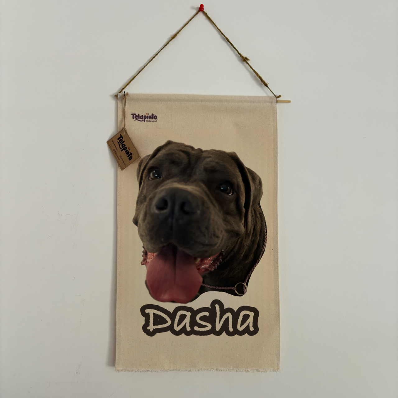 Cuadro Tela Mascota Personalizada