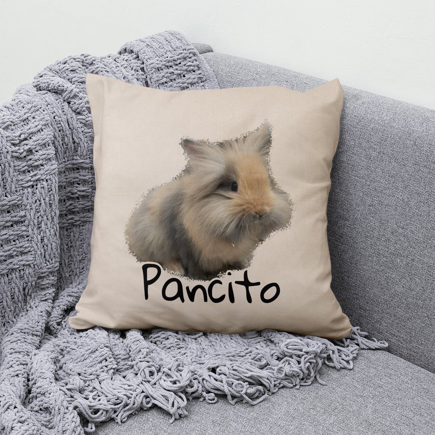 Funda Cojín Personalizado Mascota