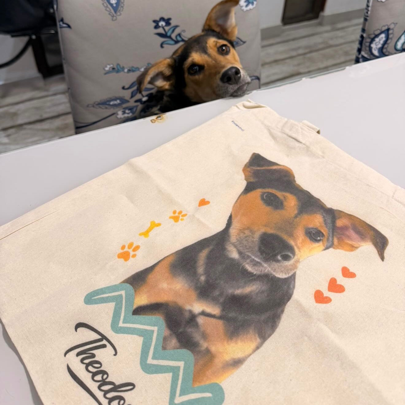 ❤️ Pack Mi Mascota, Nuestra Familia (2 poleras + Bolsa Tote Bag)