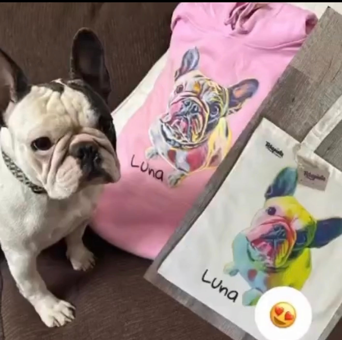 ❤️ Pack Mi Mascota, Nuestra Familia (2 poleras + Bolsa Tote Bag)